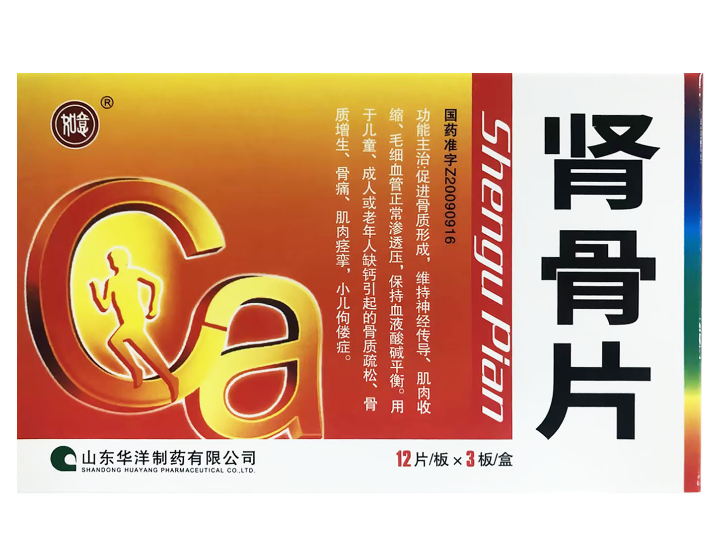 肾骨片