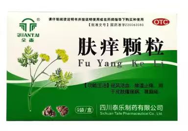 肤痒颗粒